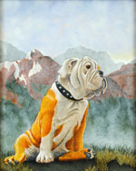 Bulldog in Landscape, Dog Portraits, 2015 _ Timothy Vermeulen
