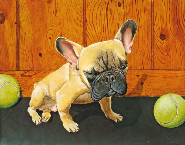 French Bulldog with Tennis Balls, Dog Portraits, 2014 _ Timothy Vermeulen