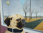 Pug, Dog Portraits, 2018 _ Timothy Vermeulen